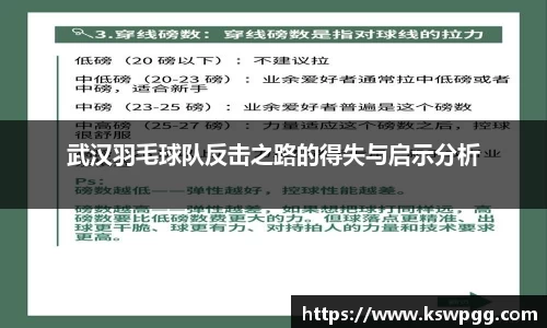 武汉羽毛球队反击之路的得失与启示分析
