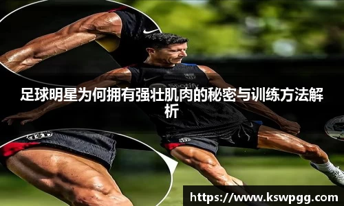 NG28相信品牌的力量