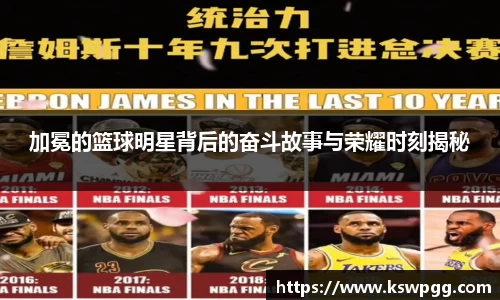 NG28相信品牌的力量